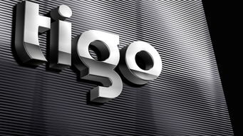 深圳比领设计 为Tigo金泰克科技注入品牌灵魂，打造专业电子产品VI与Logo设计